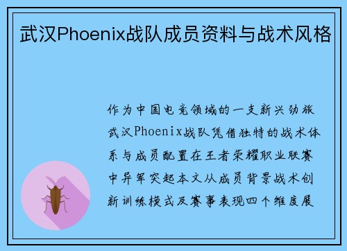 武汉Phoenix战队成员资料与战术风格