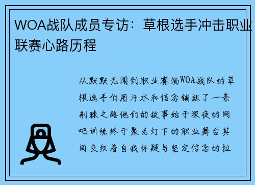 WOA战队成员专访：草根选手冲击职业联赛心路历程